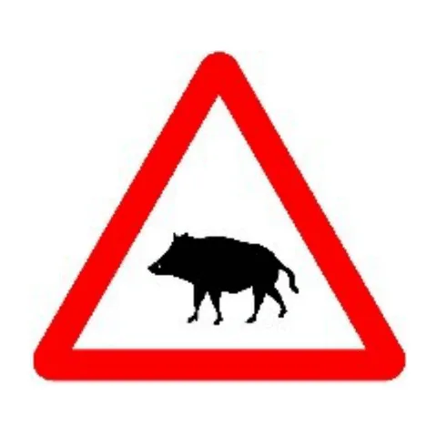Señal P-24a: Paso de animales en libertad (jabalíes)